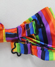 Load image into Gallery viewer, Multicolour Rainbow Striped Adjustable Pre-Tied LGBT Gay Pride Bow Ties NEW x2
