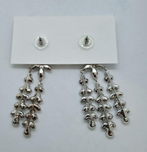 Load image into Gallery viewer, JENNIFER BEHR Ladies Aubrey Silver Tone Crystal Drop Earrings OS NEW RRP610
